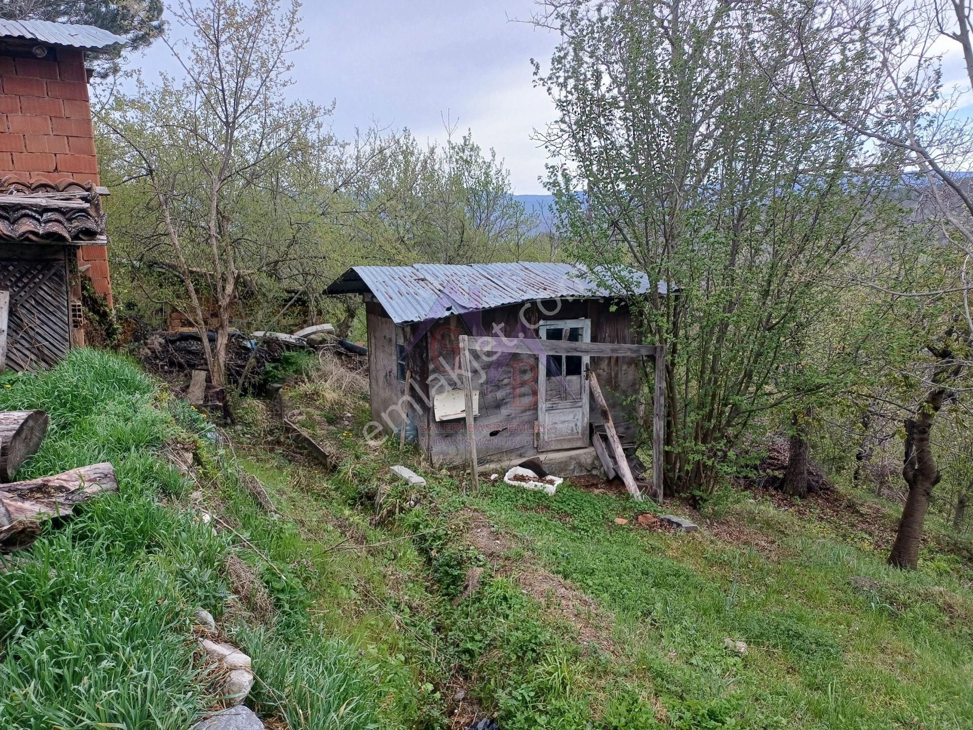 Kastamonu - Tosya Beşçam Mevkinde Satılık 3,5 Dönüm Bağ - Görsel 5