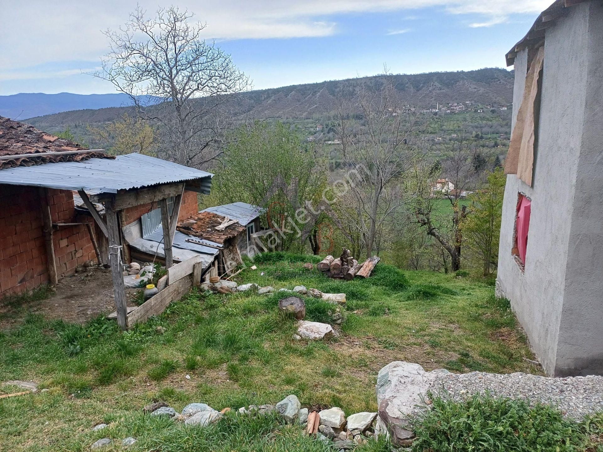 Kastamonu - Tosya Beşçam Mevkinde Satılık 3,5 Dönüm Bağ - Görsel 3