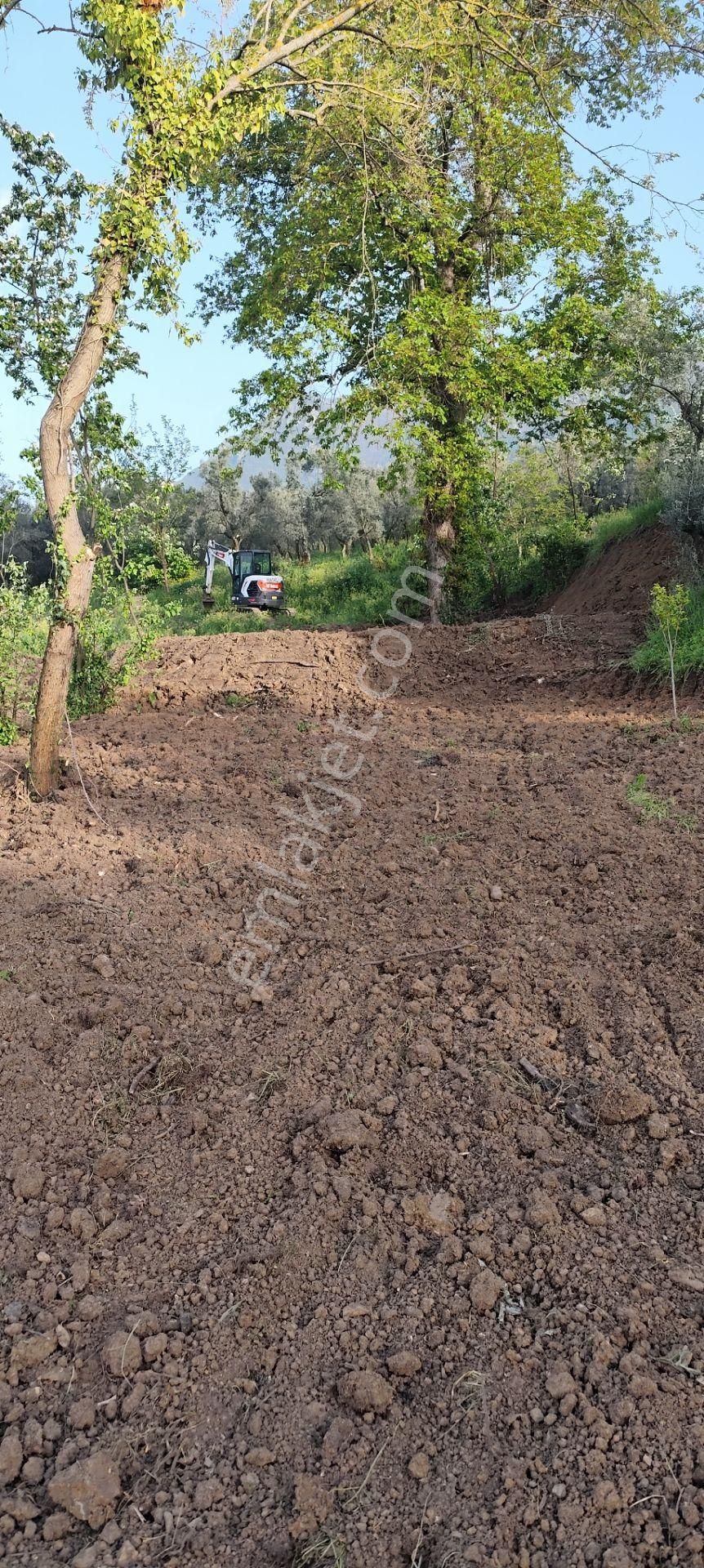 Sahibinden Satılık**resmi Yol Kenarı** Ahşap Evi Olan Arsa** - Görsel 4