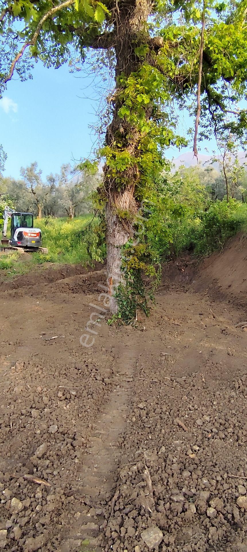 Sahibinden Satılık**resmi Yol Kenarı** Ahşap Evi Olan Arsa** - Görsel 7