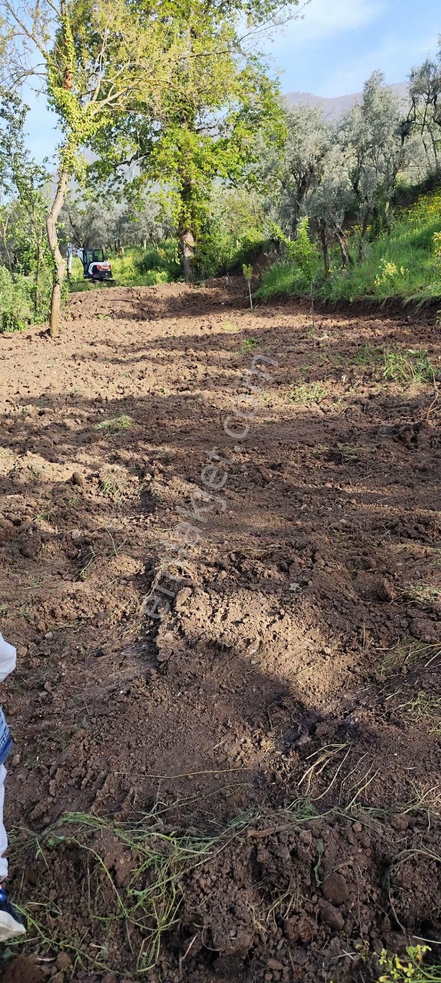 Sahibinden Satılık**resmi Yol Kenarı** Ahşap Evi Olan Arsa** - Görsel 3