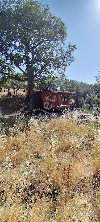 Sahibinden Satılık**resmi Yol Kenarı** Ahşap Evi Olan Arsa**