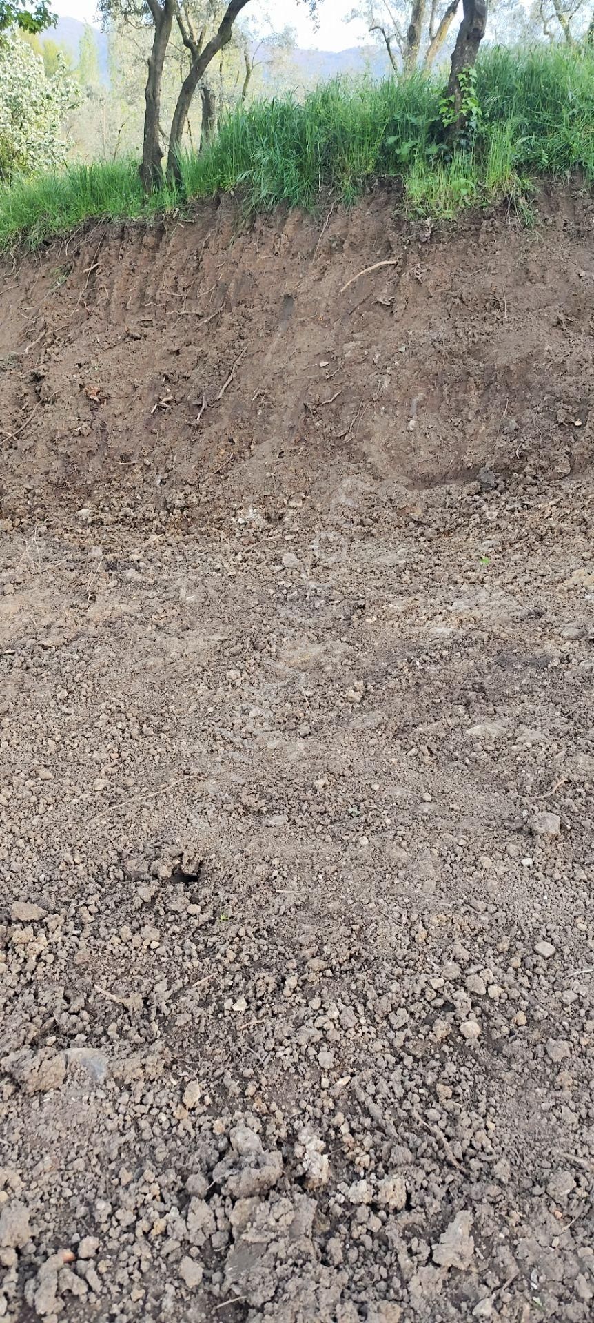 Sahibinden Satılık**resmi Yol Kenarı** Ahşap Evi Olan Arsa** - Görsel 6