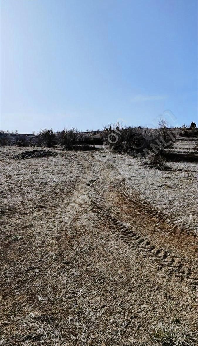 Orion Gayrimenkul Den Çameli Cumaalanı Da 2061m² Fırsat Tarla