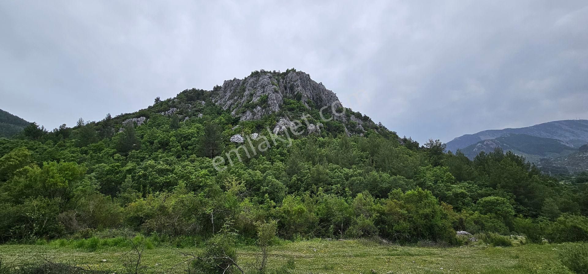 Akseki Murtiçi'nde Merkeze 3 Dakika Mesafede Satılık 4.586 M² Müstakil Tarla