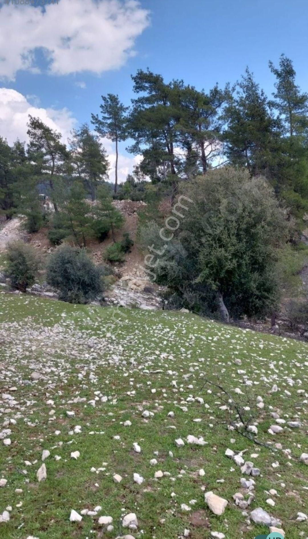 Nakit İhtiyacından Dolayı Satılık Tek Tapu
