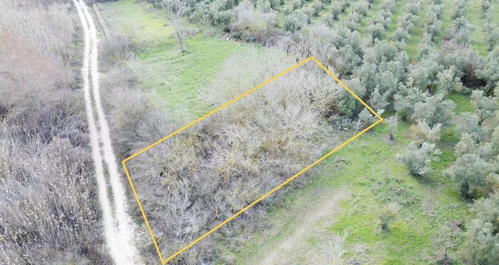 Gölyazı Da 644m2 Yola Cephe Müstakil Hobi Bahçesi