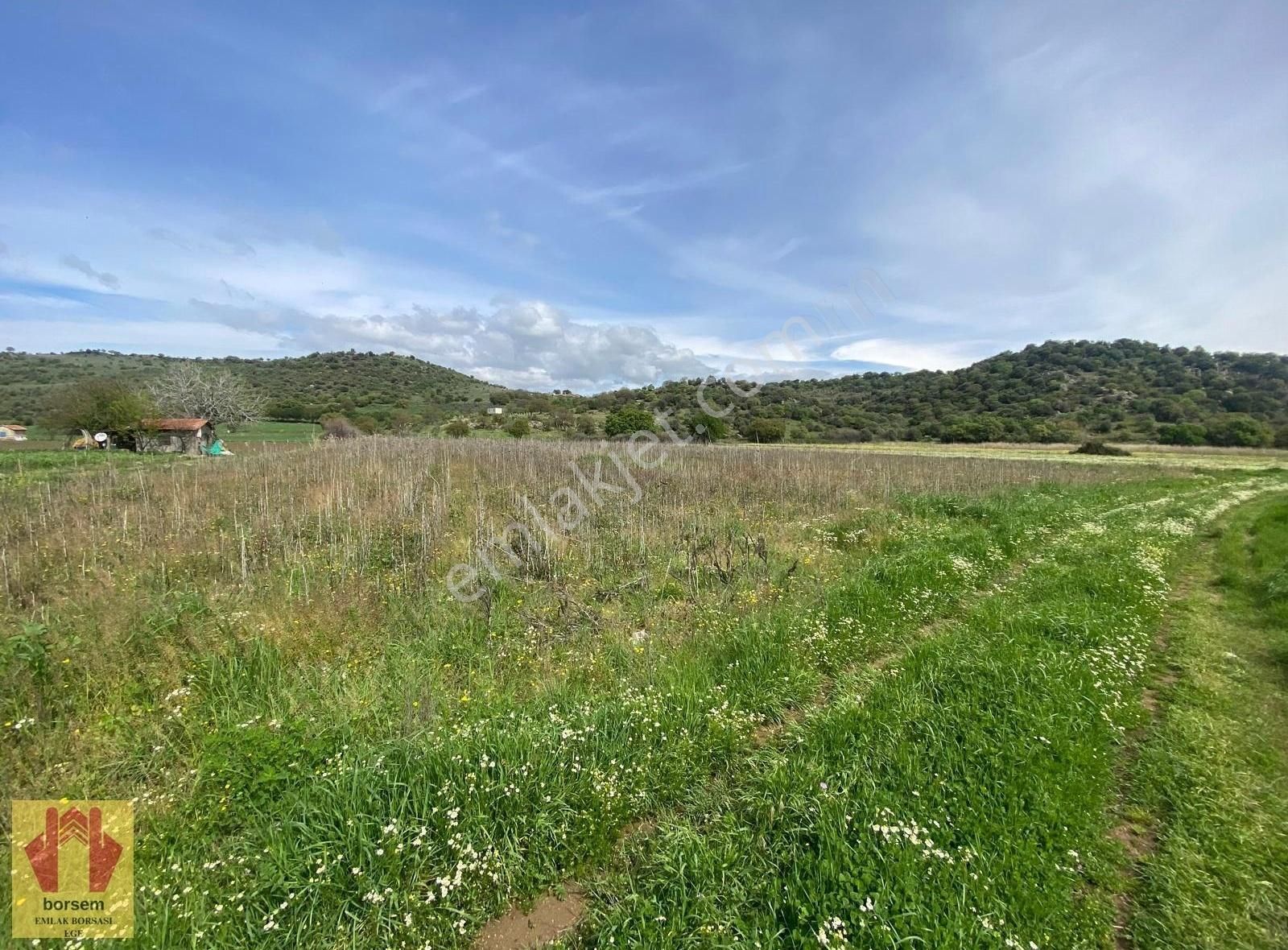 Borsem Ege'den Dikili Merkeze 4 Km Satılık Tarla (9.097 M2) - Görsel 5