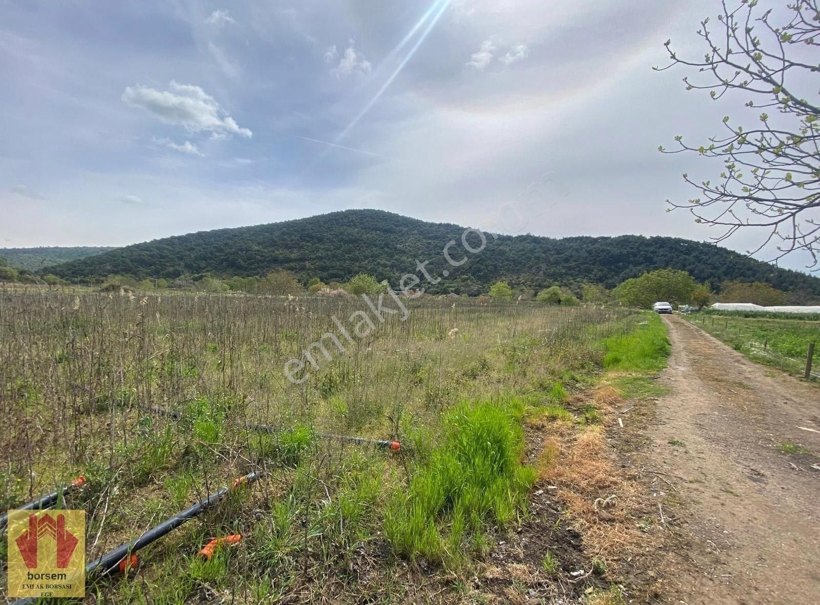 Borsem Ege'den Dikili Merkeze 4 Km Satılık Tarla (9.097 M2) - Görsel 12