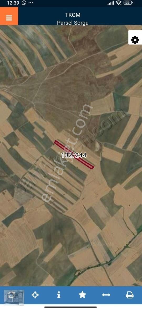 Tekirdağ Ergene İgneler Satılık