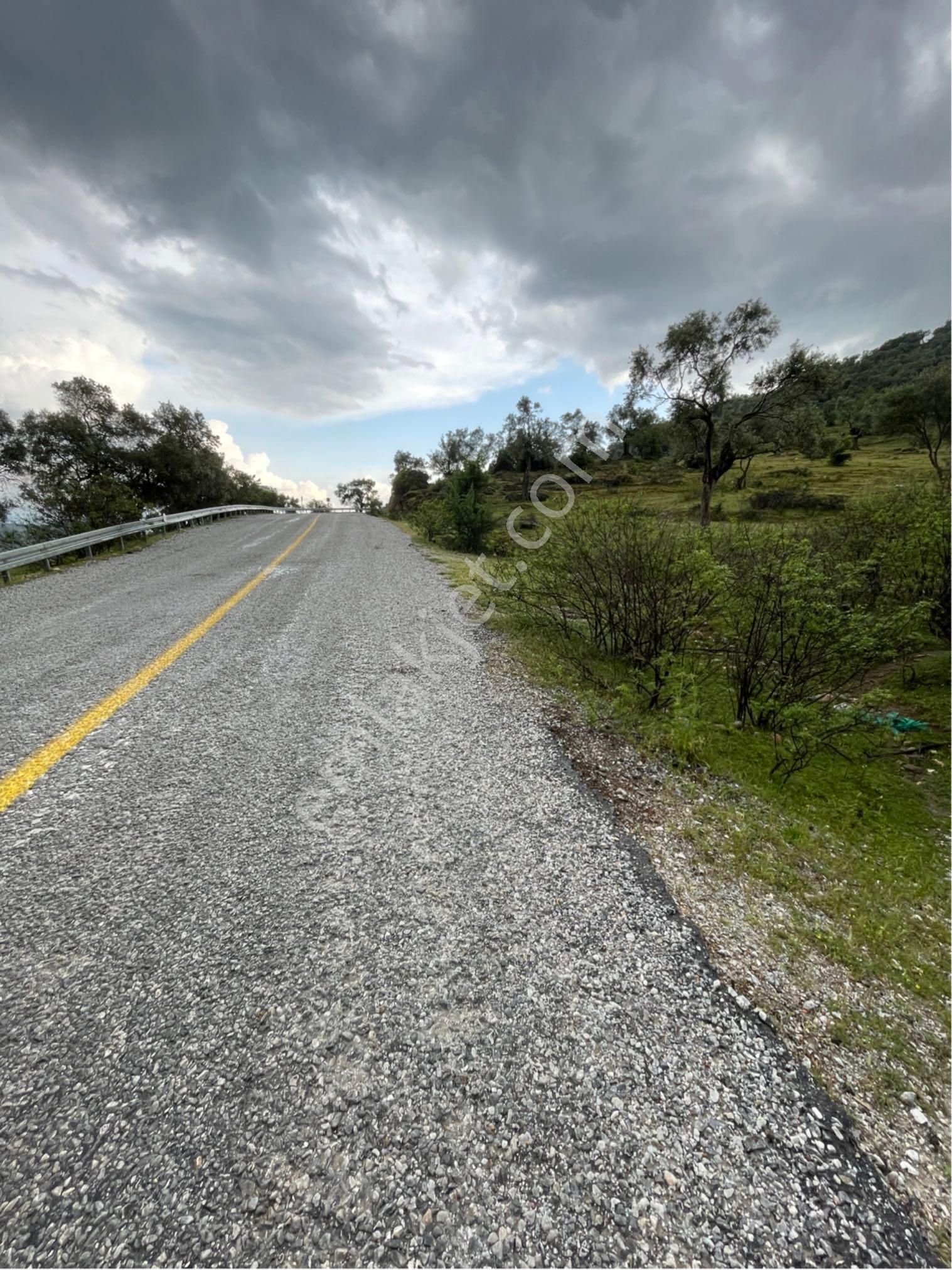 Milas Çınarlıda Anayola 50 Metre Manzaralı Arazi