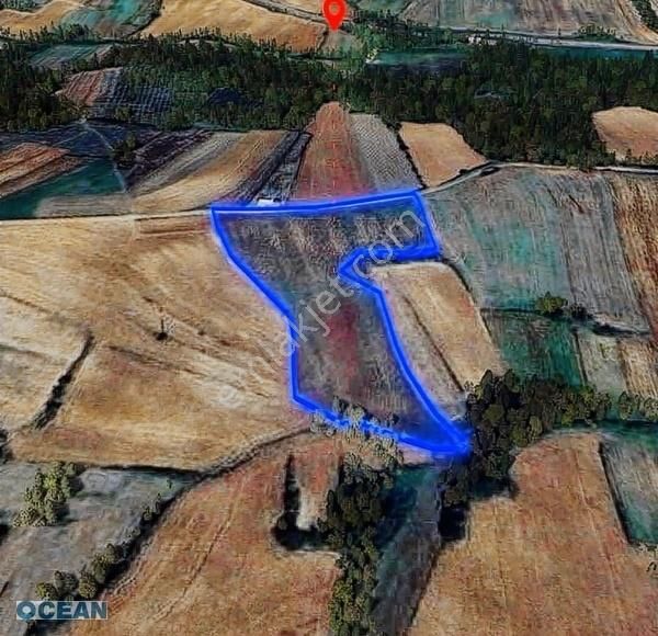 Kandıra Kerpe De 11.222 M2 Satılık Tarla