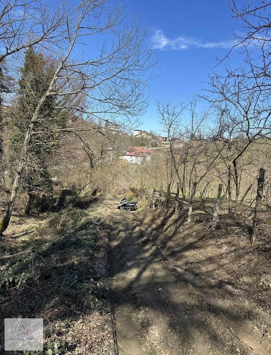 Ata Gayrimenkul | Kavakbıçkı Köyiçi Manzaralı 10.288m2 Fındıklık