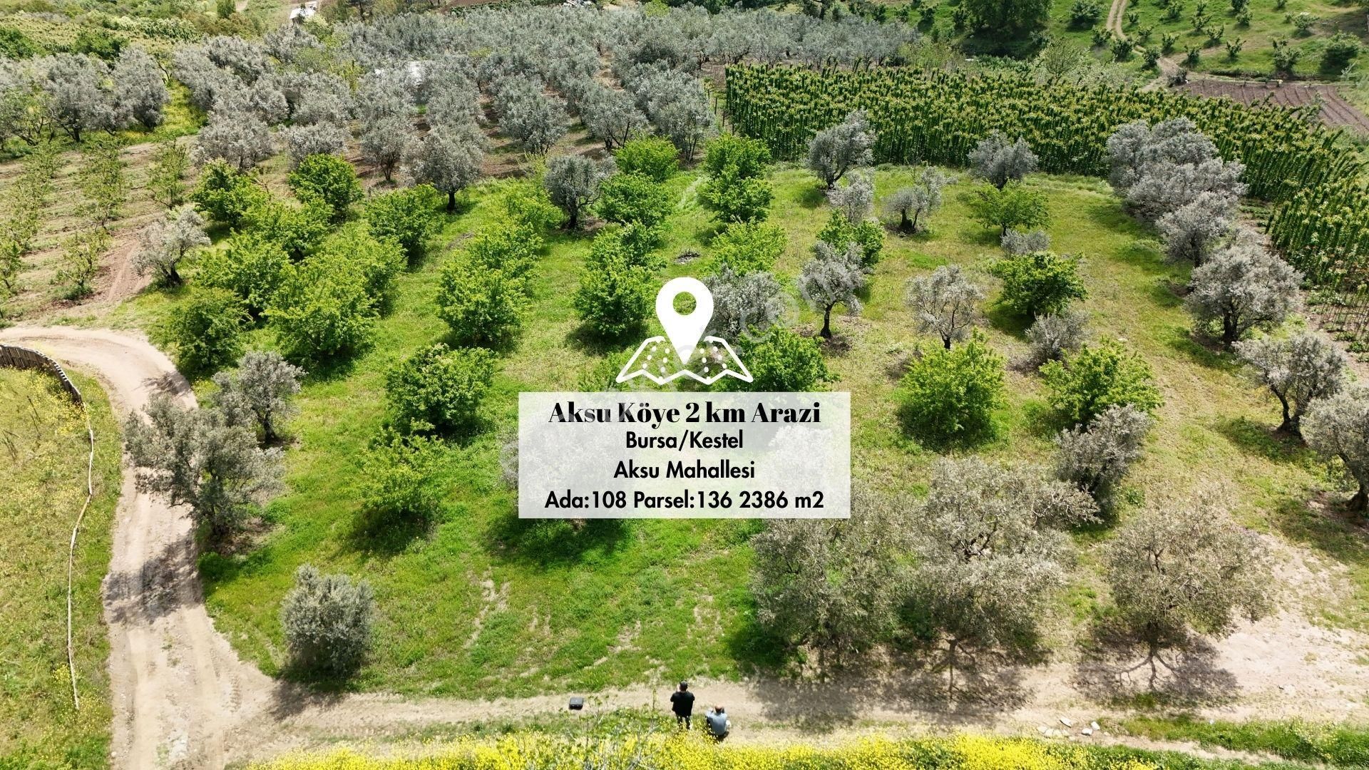 Toprağı Olanın Geleceği Olur: Kestel Aksu’da 2387 M² Yatırım Ve Yaşam Fırsatı.