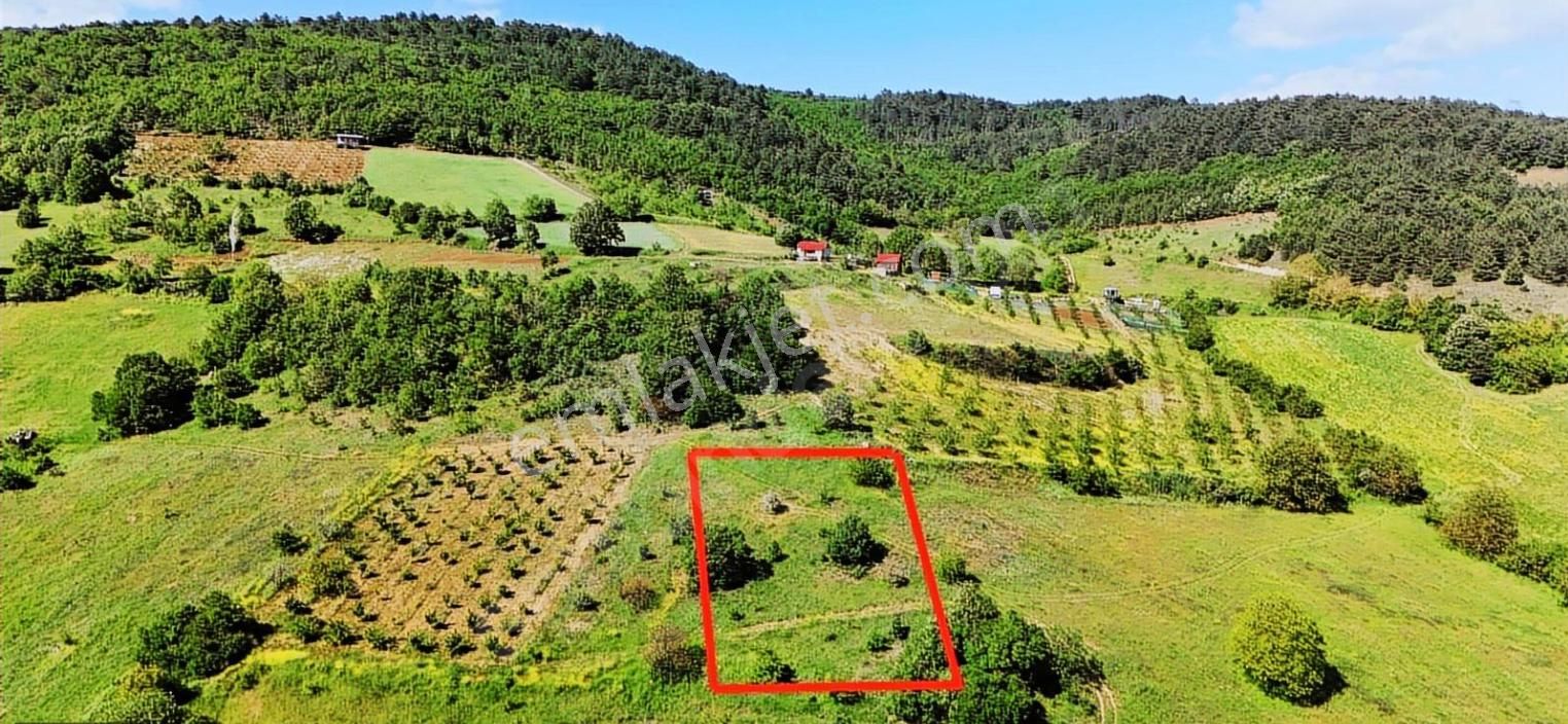Kestel Ümitalanda Müthiş Konumda Düz Arazi