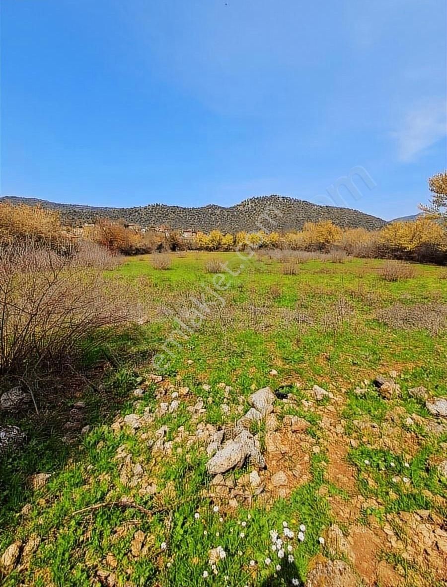 Mercan Gayrimenkul'den Kayaköy'de 7.380m2 Tarla