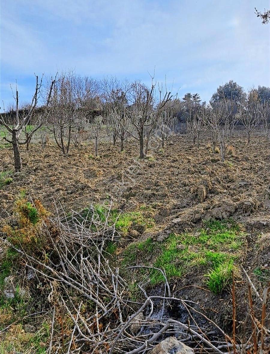 Mercan Gayimenkul Yakaköy'de 1.215m2 Müstakil Manzaralı Tarla