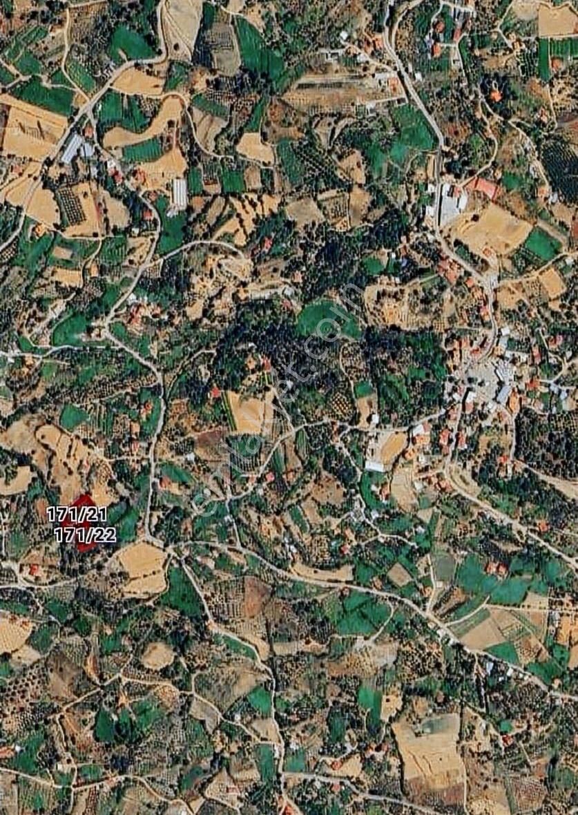 Mercan'dan Seydikemer Arsa'da Tek Tapu 2.775m2 Zeytinlik