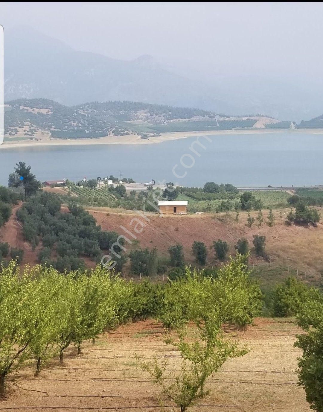 Osmaneli Çerkeşlide Full Göl Manzaralı Ceviz Bahçesi