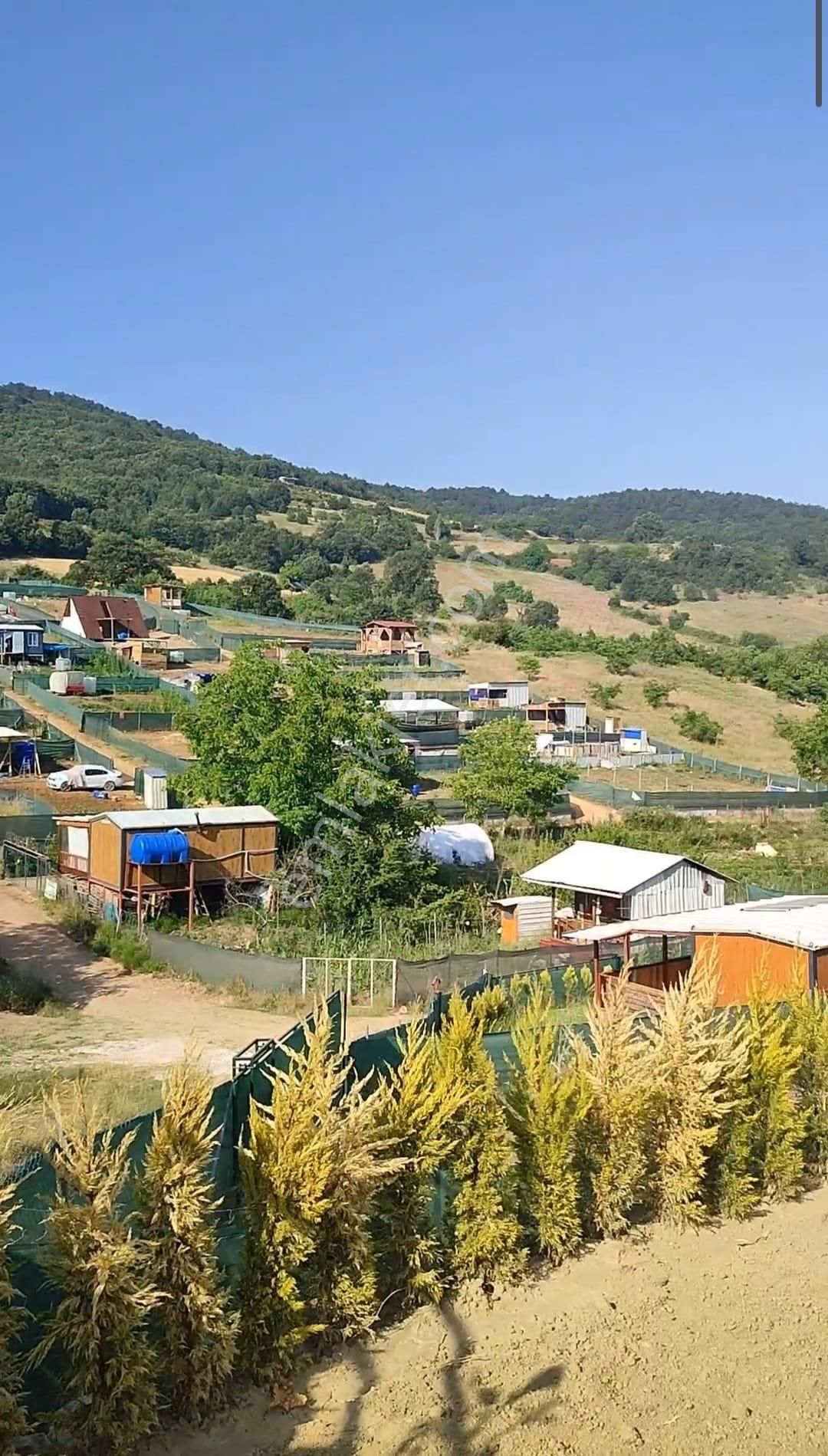 Kestel, Ümitalan'da Ruhsatlı Tiny House Ve 220m² Hobi Bahçesi - Görsel 19