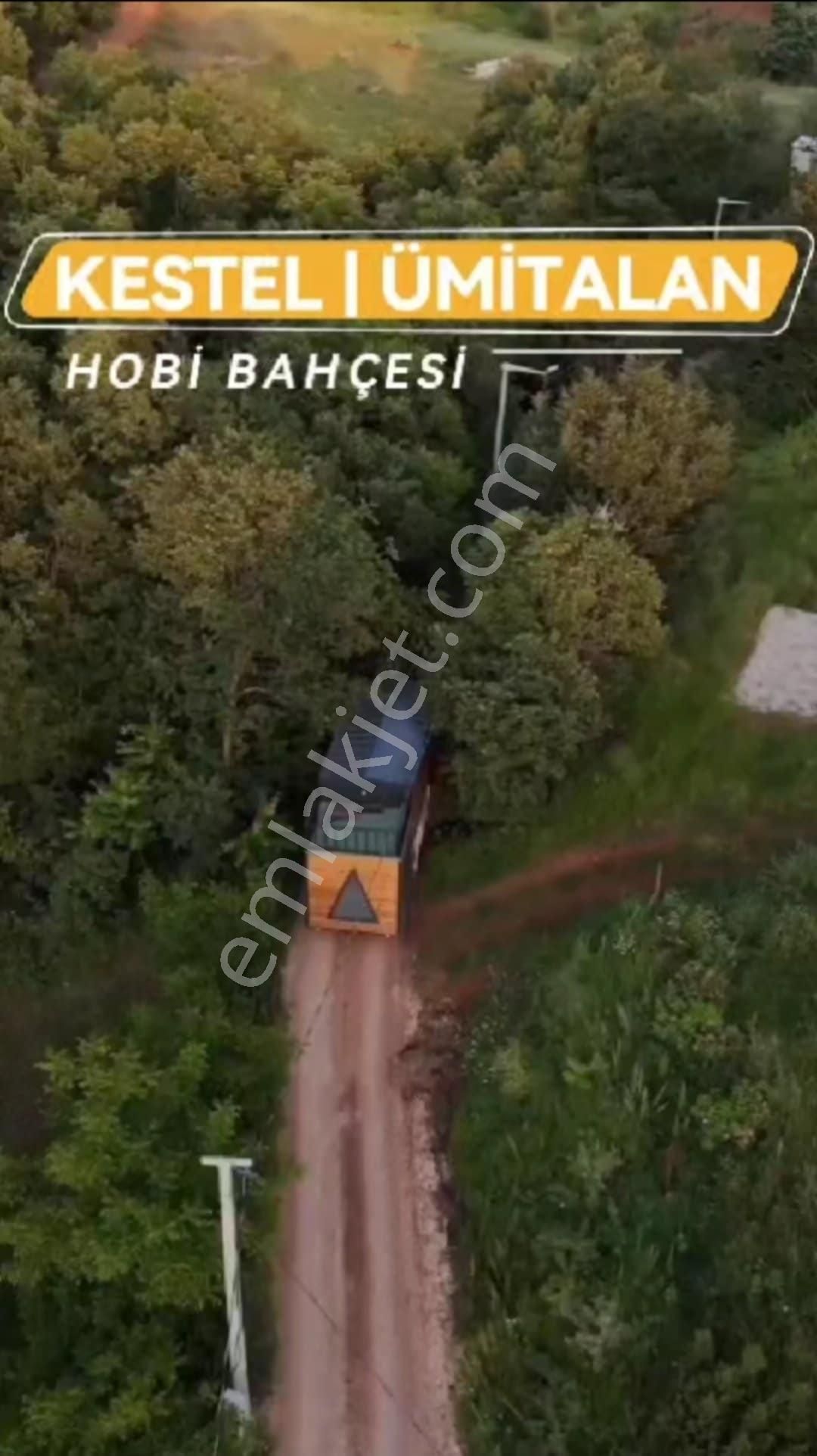 Kestel, Ümitalan'da Ruhsatlı Tiny House Ve 220m² Hobi Bahçesi - Görsel 2