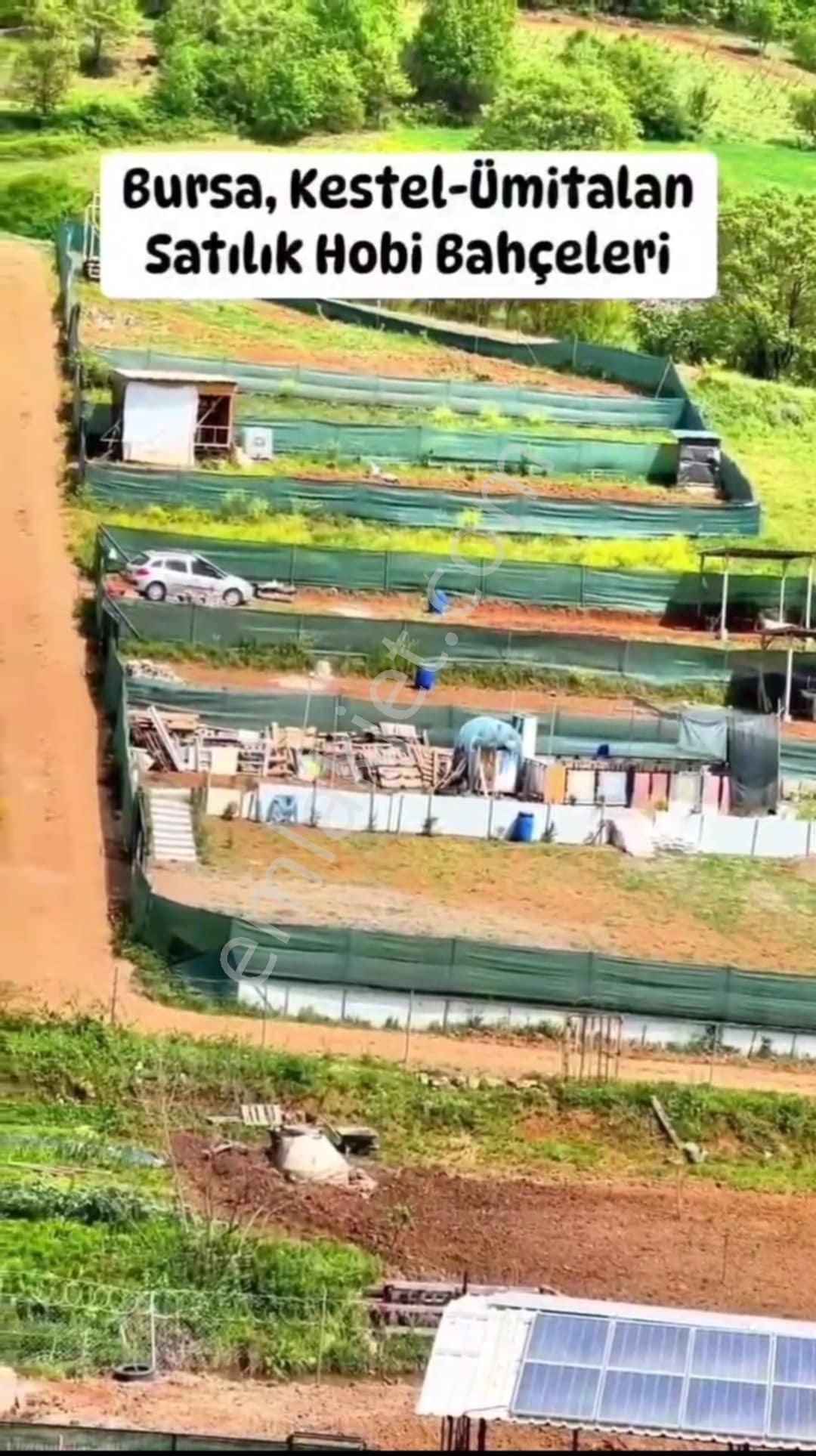 Kestel, Ümitalan'da Ruhsatlı Tiny House Ve 220m² Hobi Bahçesi - Görsel 4