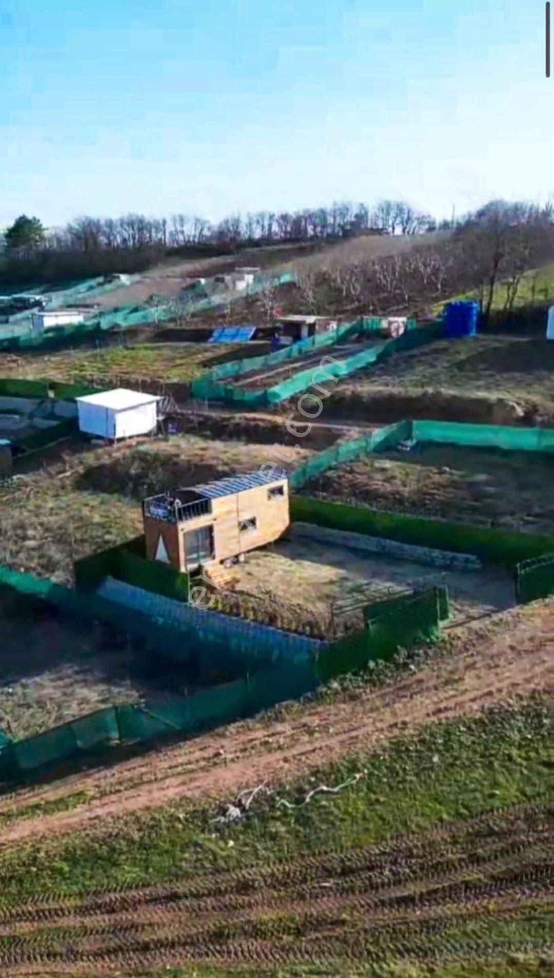 Kestel, Ümitalan'da Ruhsatlı Tiny House Ve 220m² Hobi Bahçesi - Görsel 6