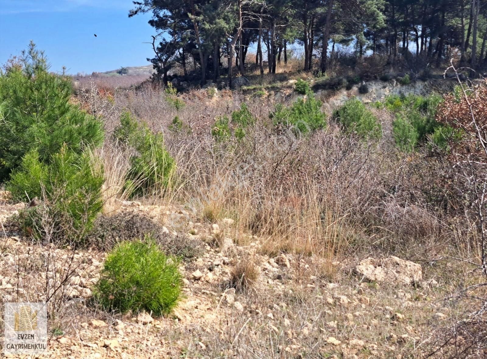 Çanakkale Merkez Yapıldak Köyü'nde 500 M2 Kooperatif Hissesi