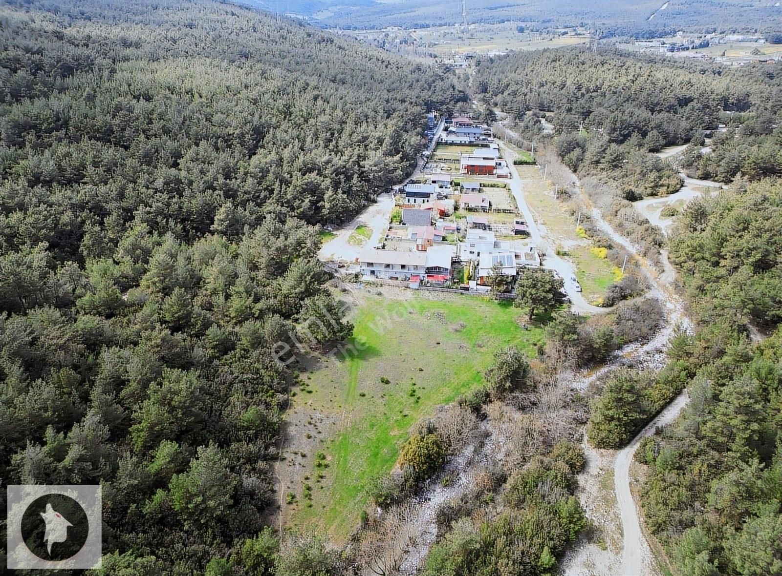 Bornova Çiçekliköyde Ormanın İçinde Satılık 4158 M2 Tarla