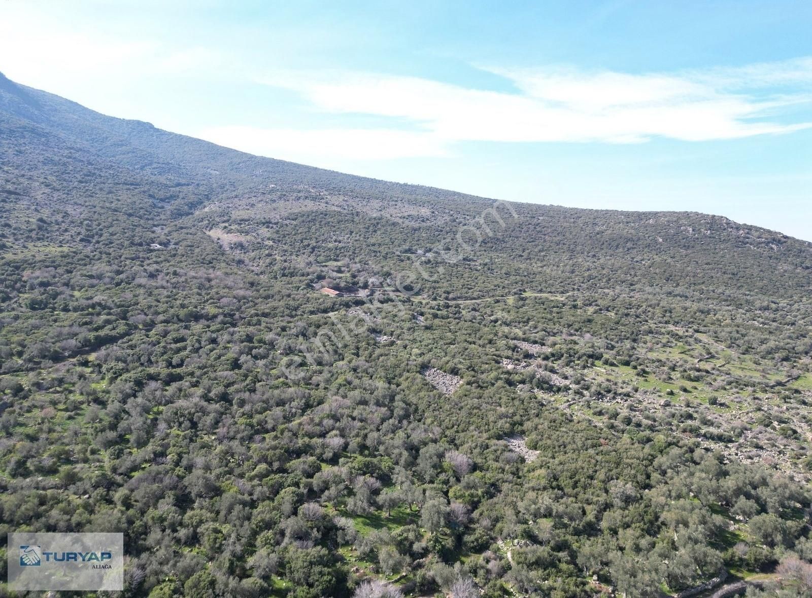 Aliağa'da Satılık Müstakil Tapulu Tarla