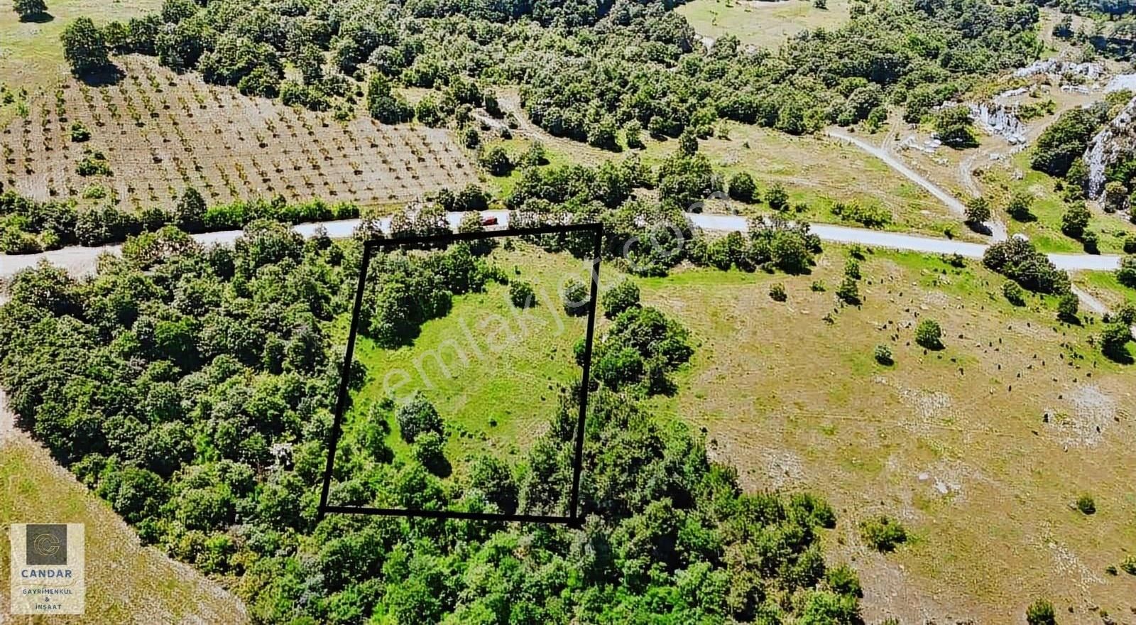 İznik Mustafalı Mah. Ful Göl Manzaralı Tarla