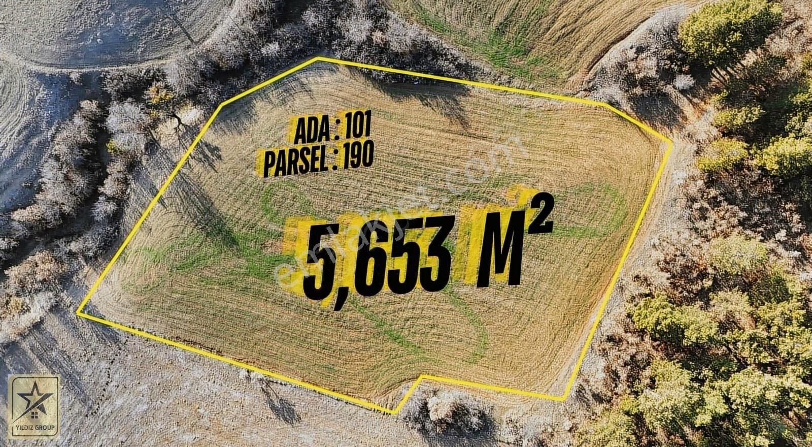 Zafer Osb İlçesi Olan Altıntaş'da Yeşilyurt Köyünde Fırsat Arazi