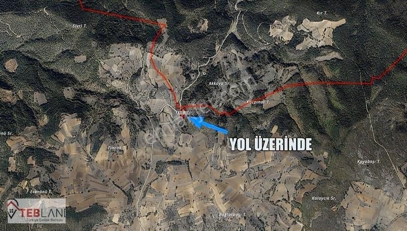 Bilecik Gölpazarı Söğütcük Yol Kenarı Arsa!!