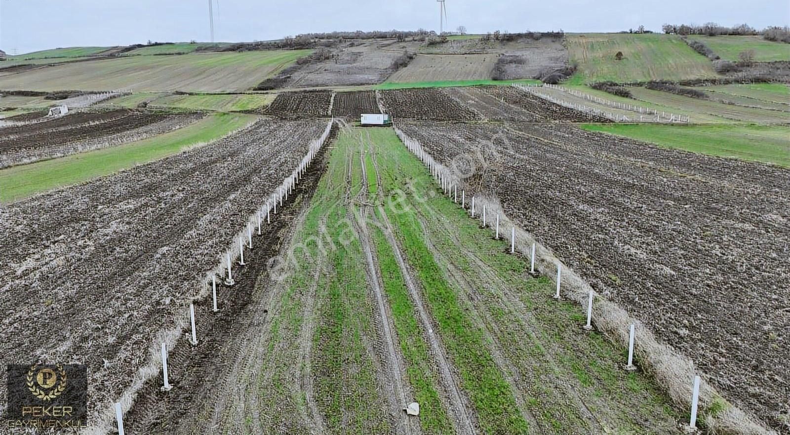 Büyükkılıçlı Resmi Yola Cephe 3151 M2 Tek Tapu