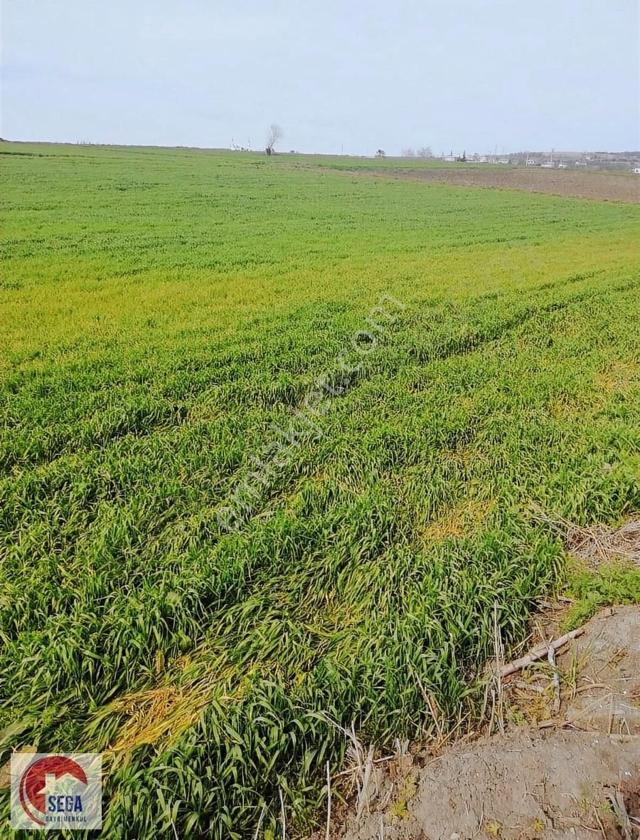 Sega Araziden Kaçmaz Yatırım Fırsatı İkizcede 1.950m2 Tek Parça