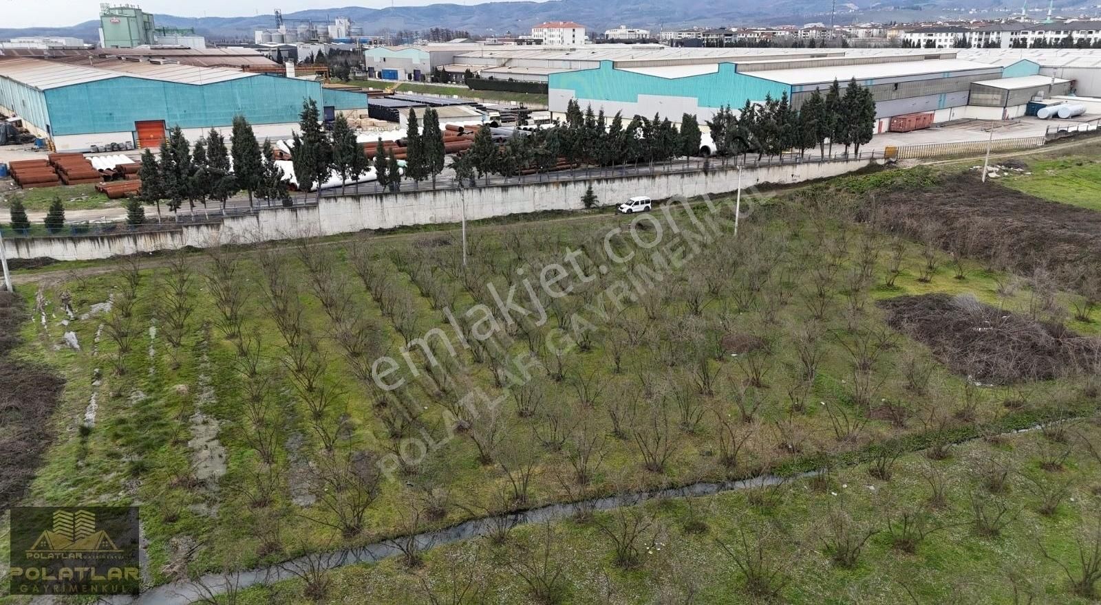 Hendek Başpınar'da 11 Dönüm Satılık Arsa