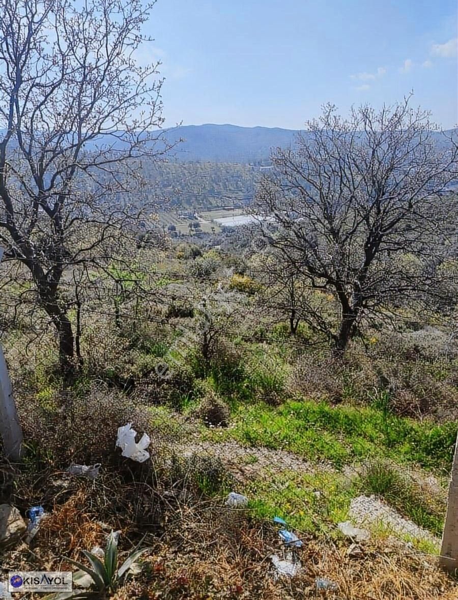 Manisa Şehzadeler Sancaklı Kayadibinde Satılık Arazi