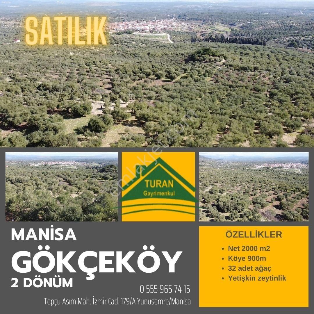 Manisa Gökçeköy'de Müstakil Bireysel Tapu Zeytinlik