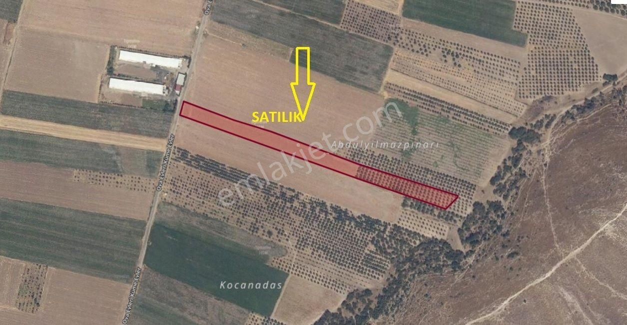 Kayalıoğlu Mah Tarla Ve Zeytinlik (emin'den)