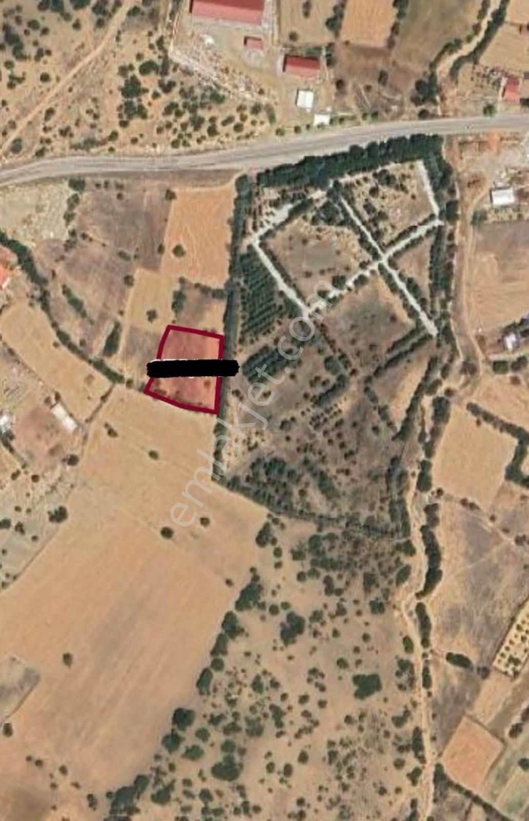 Serinhisar Yüreğil’de Satılık 1900 M² Hobi Bahçesi
