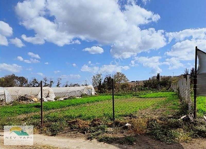 ** Nev Yapı Arsa Ofisinden 2215 M² Göle Yakın Yatırımlık ** - Görsel 15