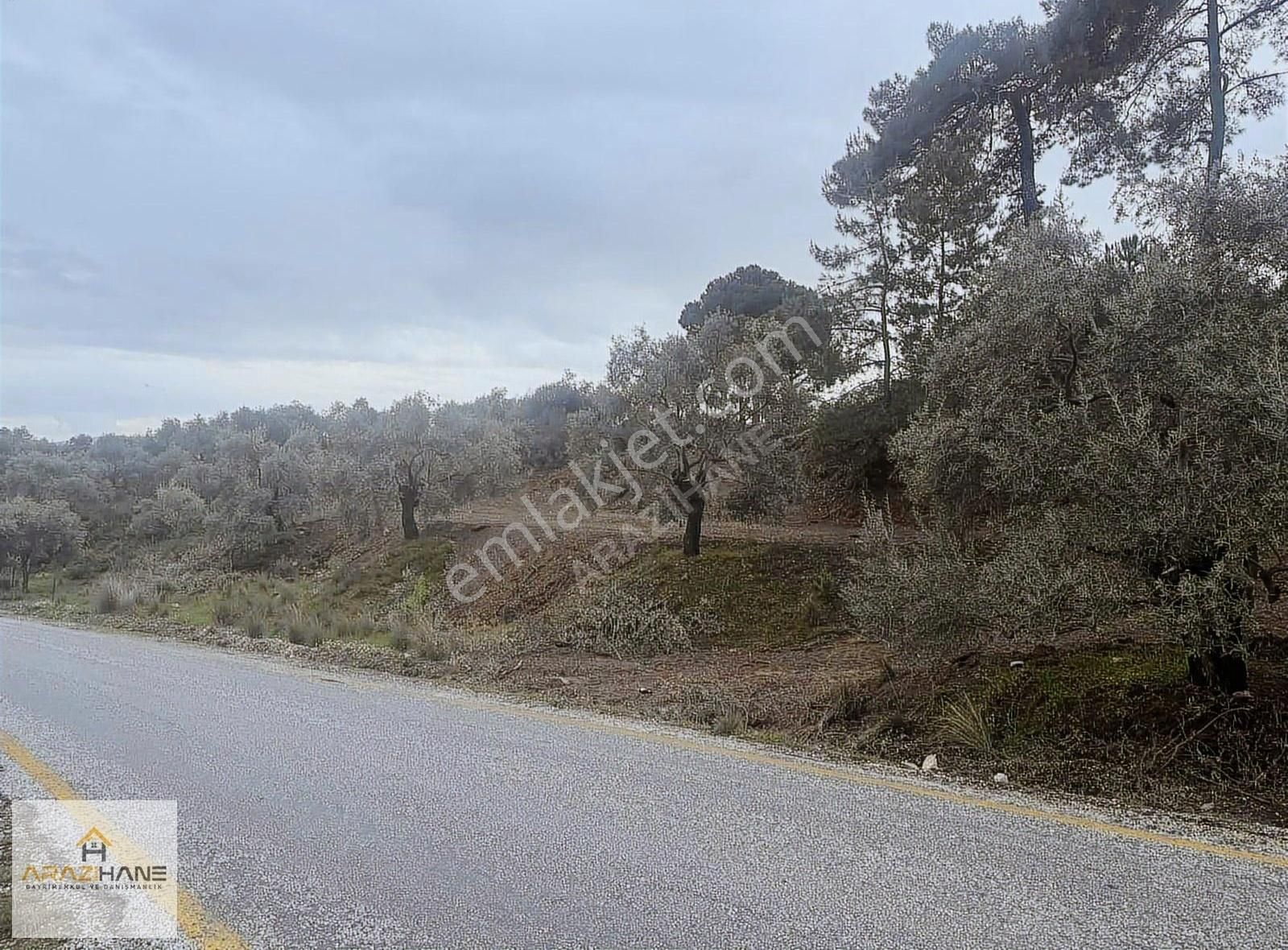 İzmir Yoluna Yakın Asfalta Sıfır Muhteşem Lokasyon