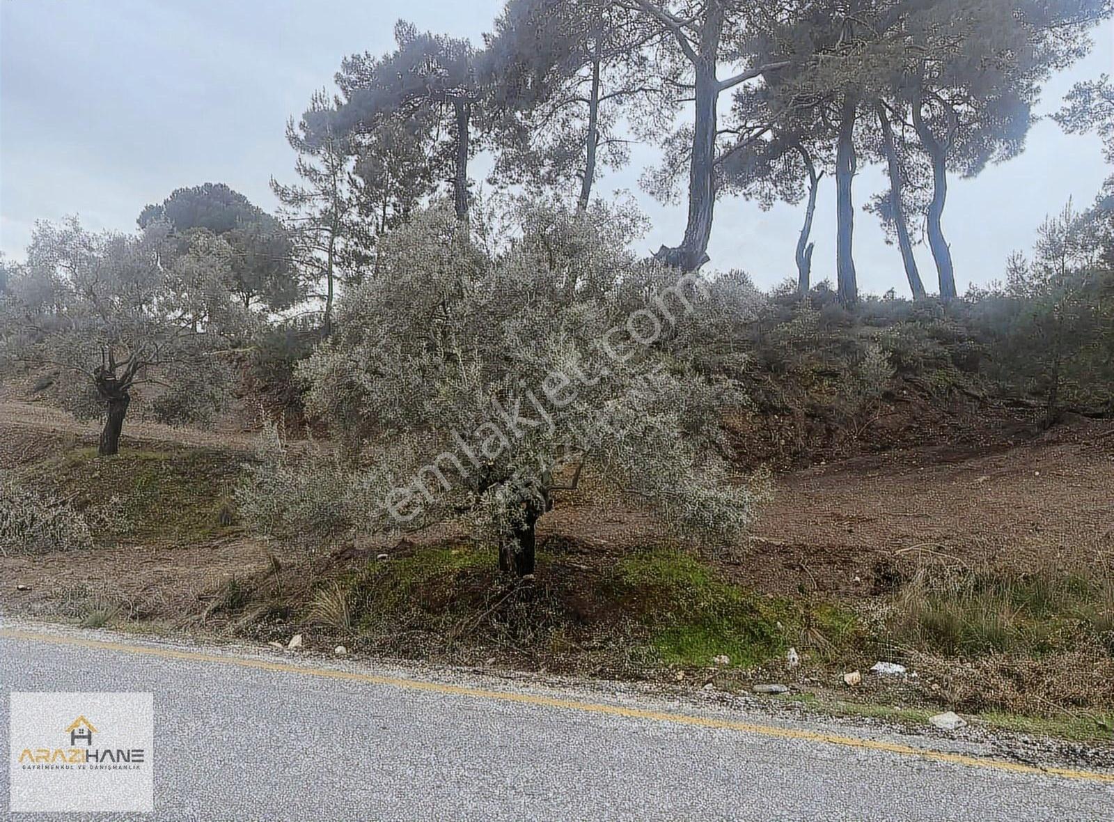 İzmir Yoluna Yakın Asfalta Sıfır Muhteşem Lokasyon - Görsel 2