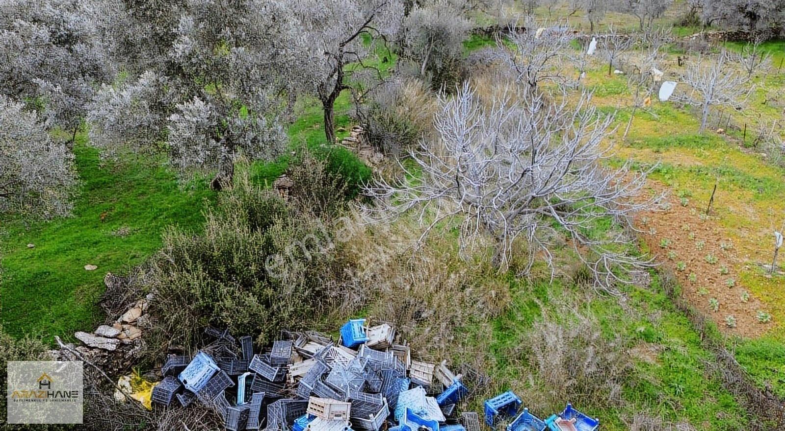 Doğa İle Başbaşa Asfalt Yola Sıfır Köyün Dibinde Hobi Bahçesi - Görsel 6