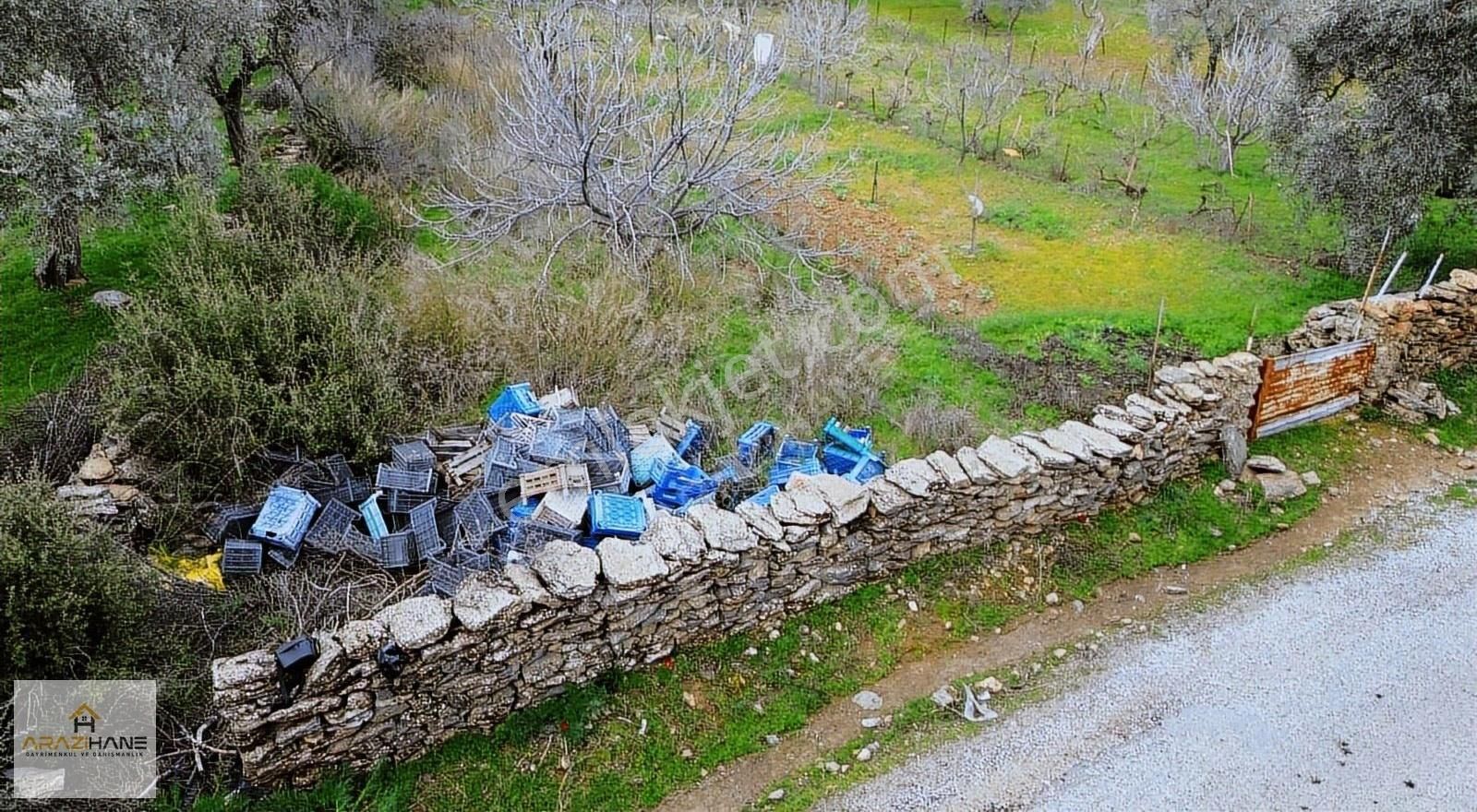 Doğa İle Başbaşa Asfalt Yola Sıfır Köyün Dibinde Hobi Bahçesi