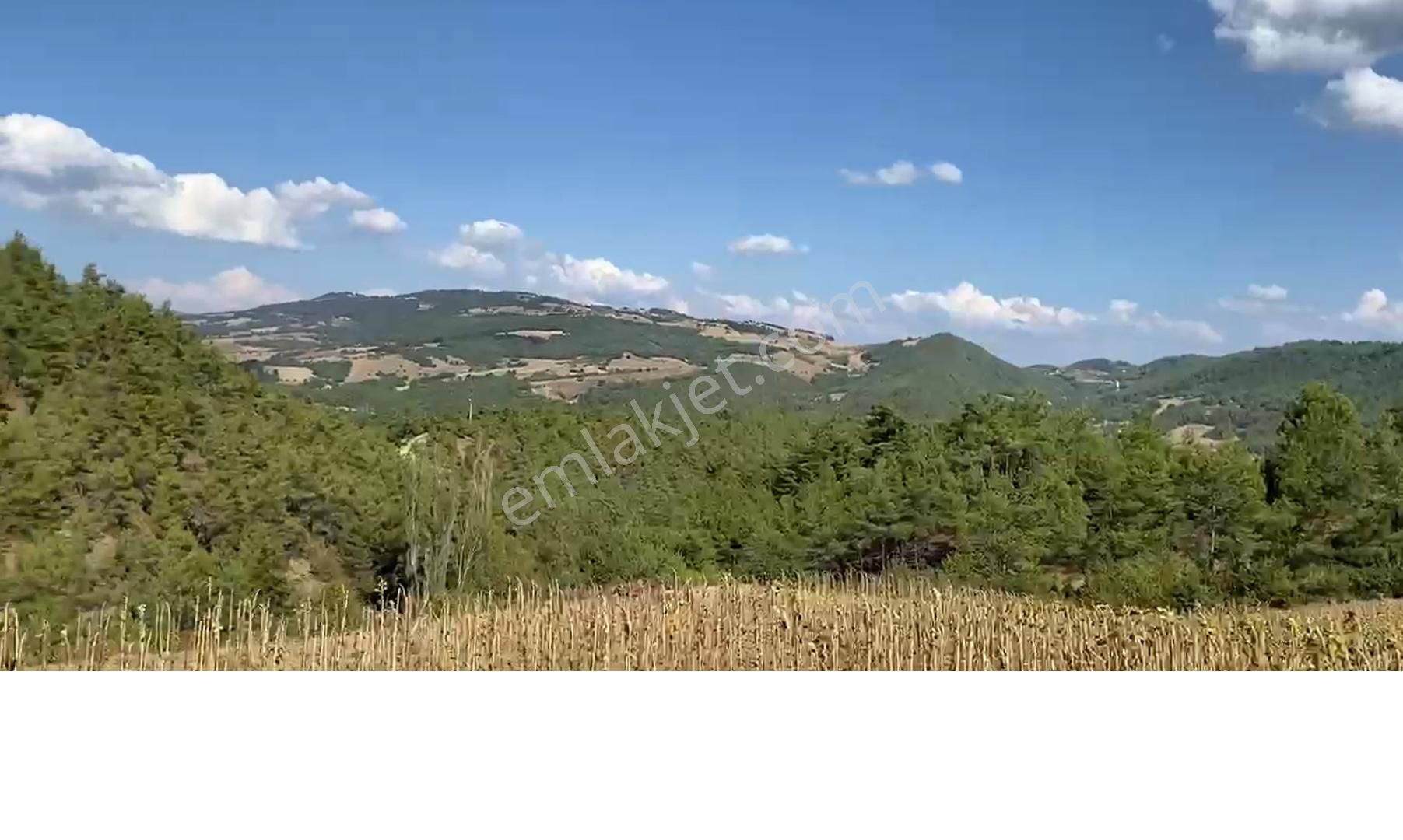 Yetişen Alır..