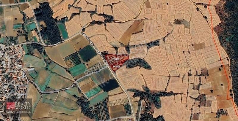 Keşan Mahmutköy'de Satılık İki Adet Toplam 7.092 M² Cevizlik