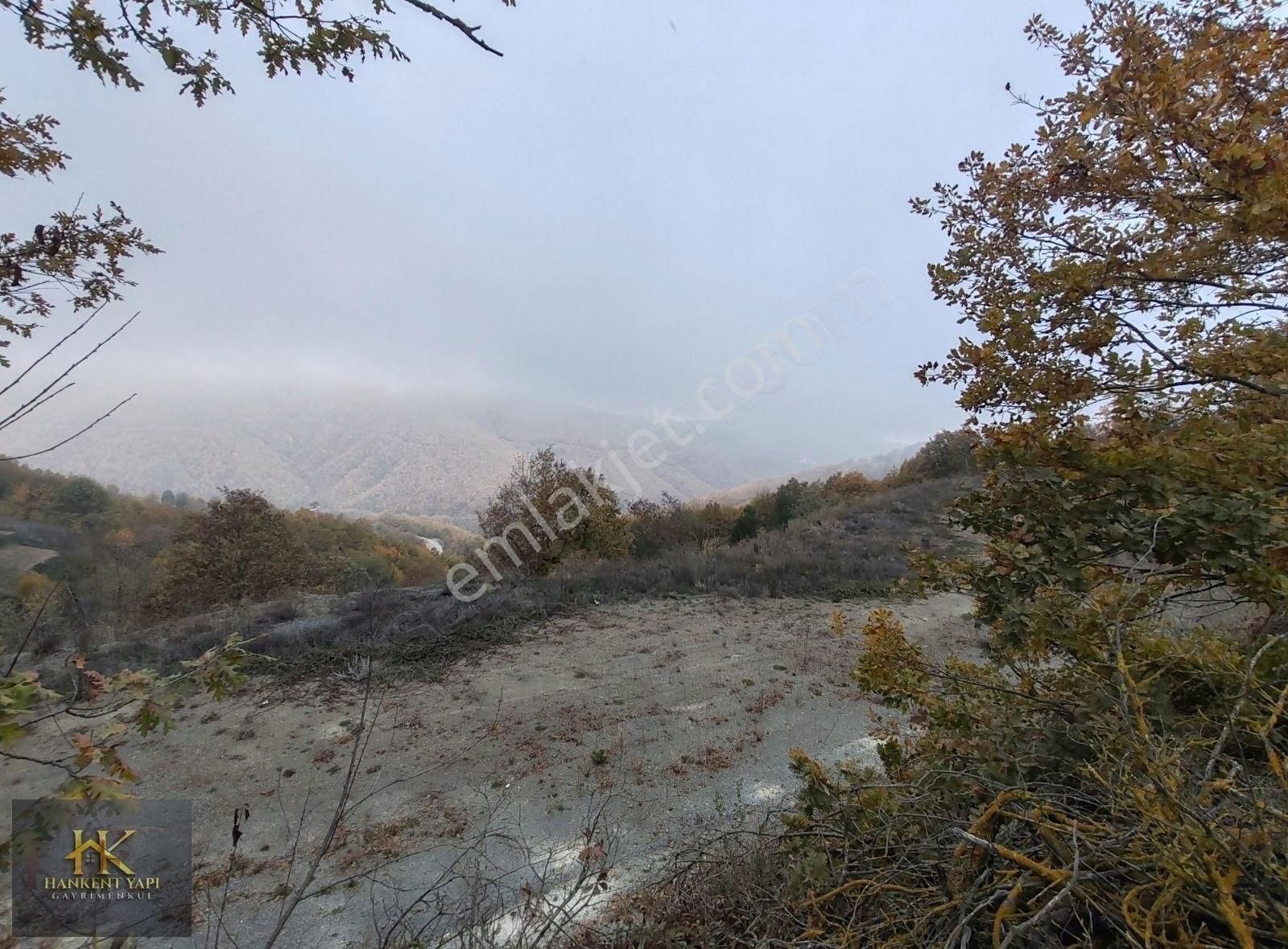 Nilüfer Üçpınar 8.914 M2 6 Ayrı Tapulu (istenirse Ayrı Ayrı Alın - Görsel 9