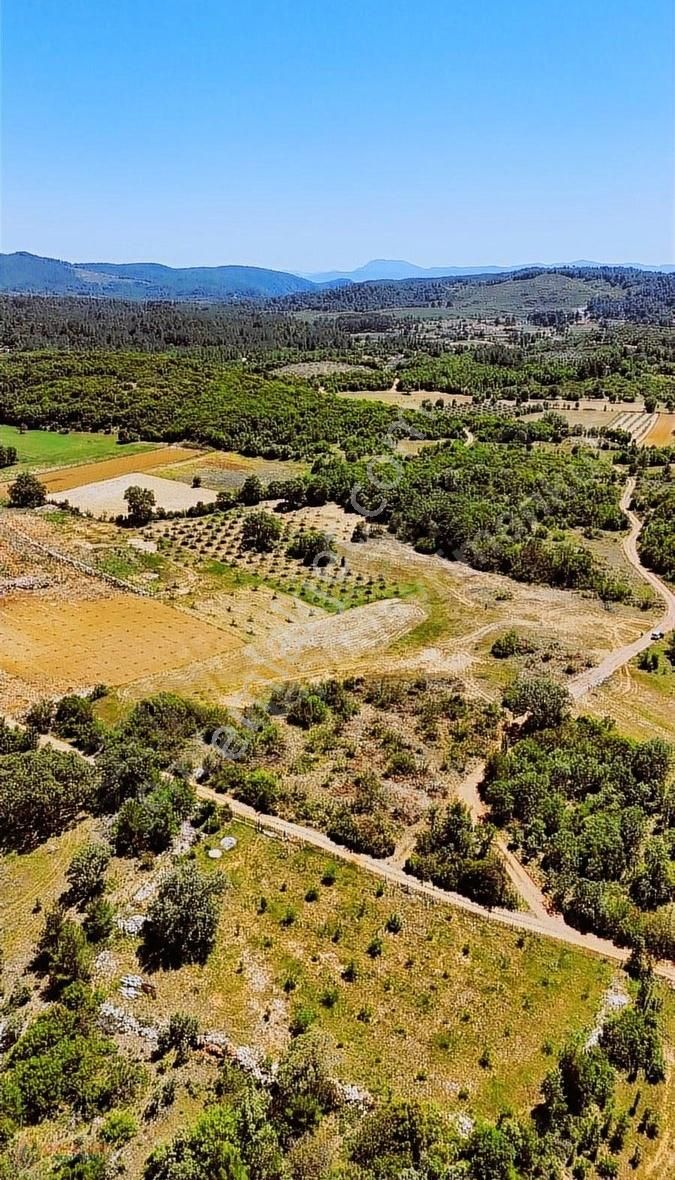 Muğla Menteşe Yaraş Mah. Bağ Evi Yapılabilir Tarla