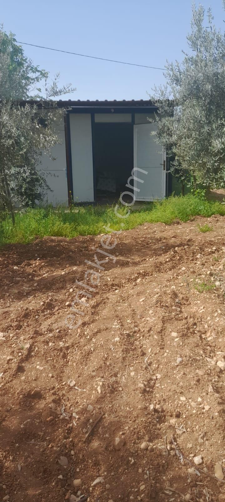 Uluyatır - Nizip 'de Satılık Bağevi Ve Bahçesi.